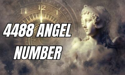 4488 Angel Number